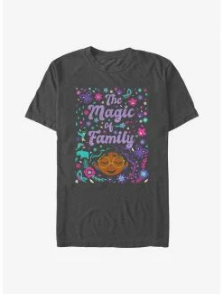 Boxlunch Disney Encanto The Magic Of Family Art T-Shirt